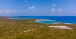 WOOD HILL, LONG ISLAND