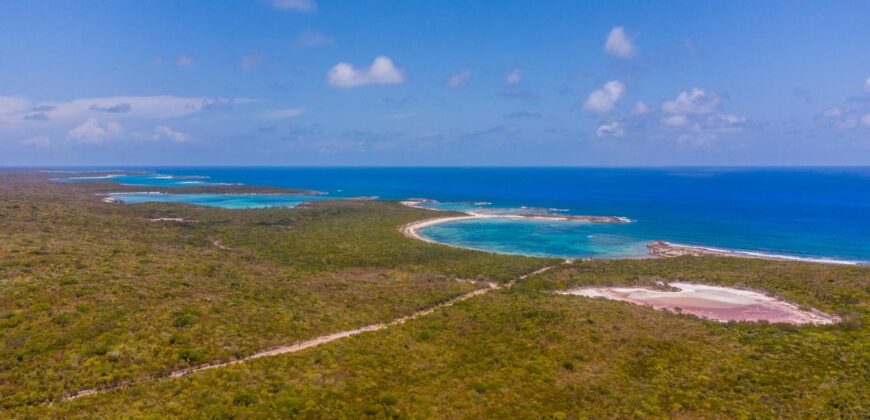 WOOD HILL, LONG ISLAND