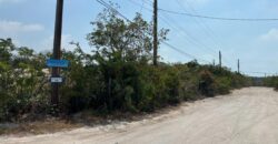LOT 7815 BAHAMA SOUND 11