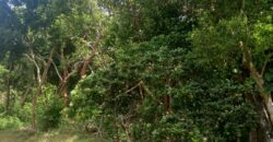 Residential Lot Residential Lot