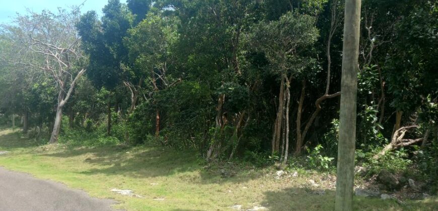 Residential Lot Residential Lot