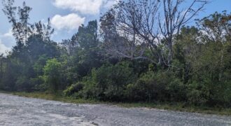 LOT 8, BAHAMA PALM SHORES