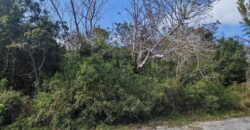 LOT 8, BAHAMA PALM SHORES