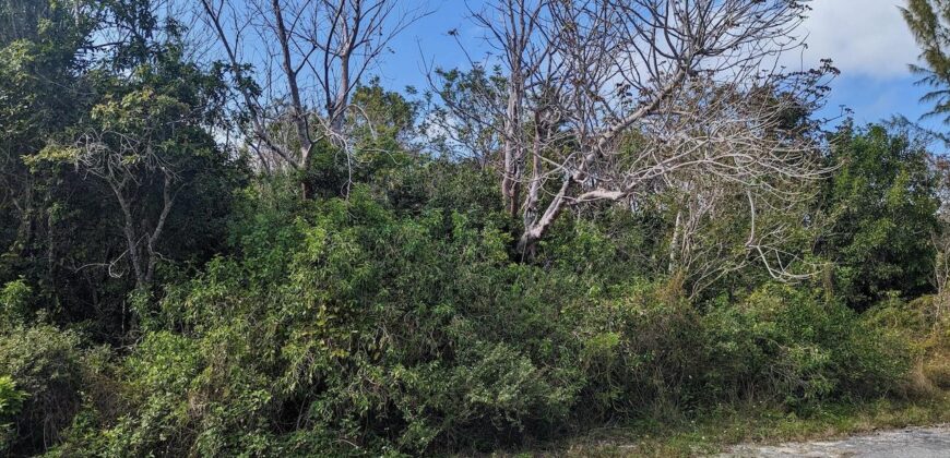 LOT 8, BAHAMA PALM SHORES