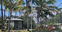 LOT 8, BAHAMA PALM SHORES