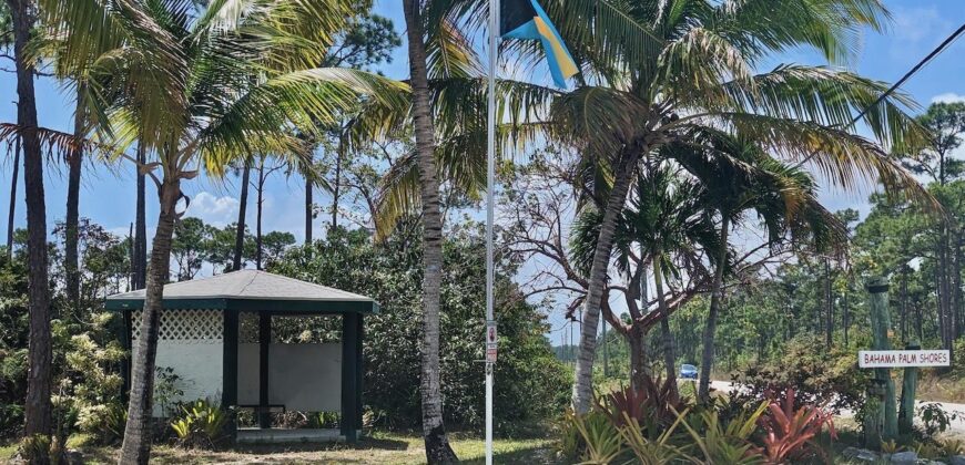 LOT 8, BAHAMA PALM SHORES