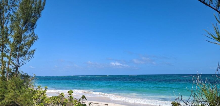 LOT 8, BAHAMA PALM SHORES