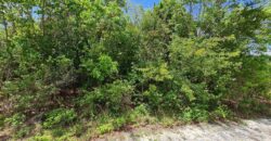 LOT 5, BLOCK 4, SECTION 2