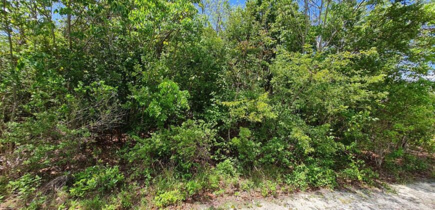 LOT 2, BLOCK 4, SECTION 2