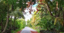 LOT 2, BLOCK 4, SECTION 2