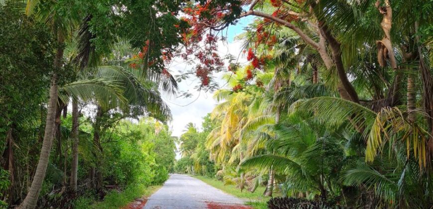 LOT 2, BLOCK 4, SECTION 2