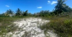 HANNA RD MULTIFAMILY LOT