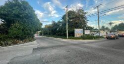 WINDER TERRACE & MALCOLM