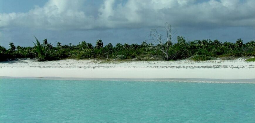 Rum Cay Beachfront Rum Cay Beachfront