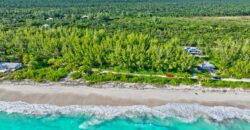 L9 B24 S4 Bahama Pal