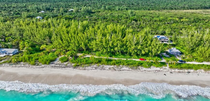 L9 B24 S4 Bahama Pal