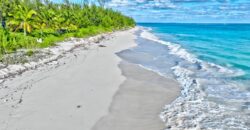 L9 B24 S4 Bahama Pal