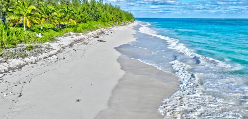 L9 B24 S4 Bahama Pal