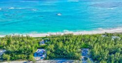 L9 B24 S4 Bahama Pal