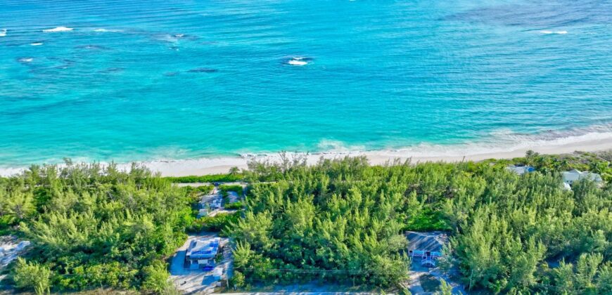 L9 B24 S4 Bahama Pal