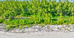 L9 B24 S4 Bahama Pal