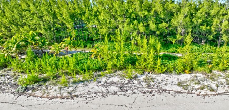 L9 B24 S4 Bahama Pal