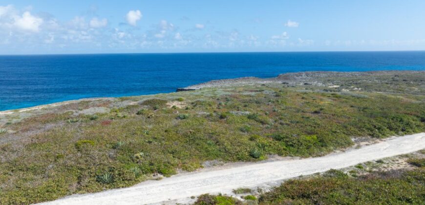 LOT 156 WHALE POINT LOT 156 WHALE POINT
