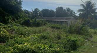 SAPPODILLA BOULEVARD, PIN SAPPODILLA BOULEVARD, PIN