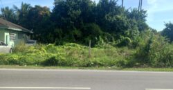 SAPPODILLA BOULEVARD, PIN SAPPODILLA BOULEVARD, PIN