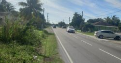 SAPPODILLA BOULEVARD, PIN SAPPODILLA BOULEVARD, PIN