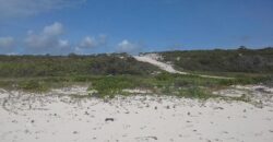 JEW FISH HILL, LOT D JEW FISH HILL, LOT D