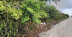 EXUMA 10,625 SF LOT
