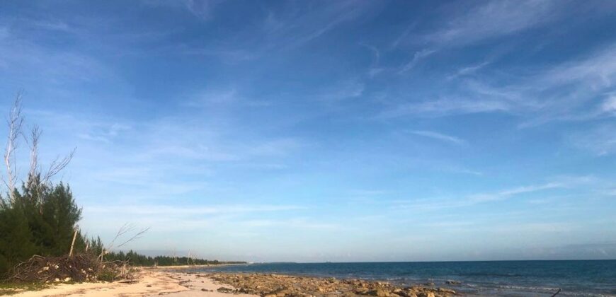 BASSETT COVE