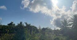 SEABREEZE MULTIFAMILY LOT SEABREEZE MULTIFAMILY LOT