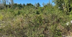 SEABREEZE MULTIFAMILY LOT SEABREEZE MULTIFAMILY LOT