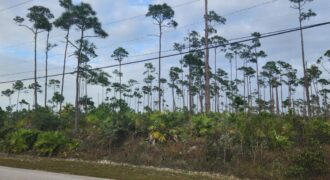 Lot 3 Churchill Dr.