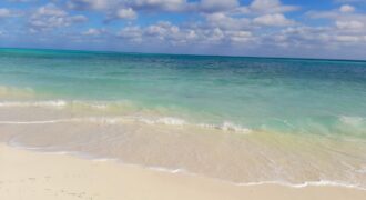 ANDROS 1 ACRE ON BEACH!