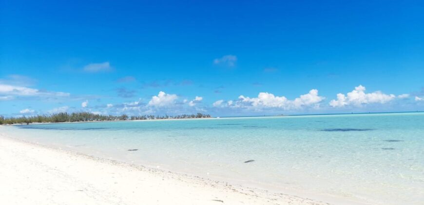 ANDROS 1 ACRE ON BEACH!
