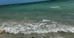 ANDROS 1 ACRE ON BEACH!