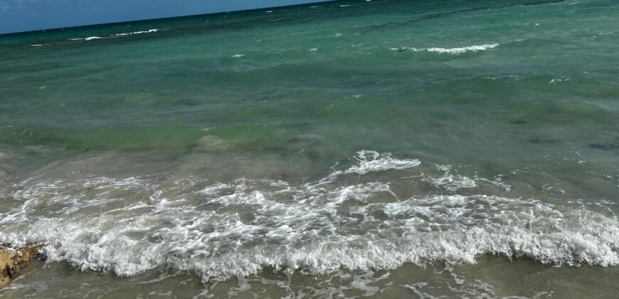ANDROS 1 ACRE ON BEACH!