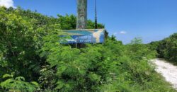 ELEUTHERA ISLAND SHORES