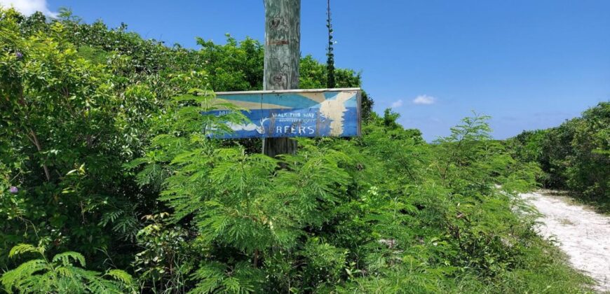 ELEUTHERA ISLAND SHORES