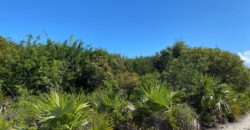 ELEUTHERA ISLAND SHORES