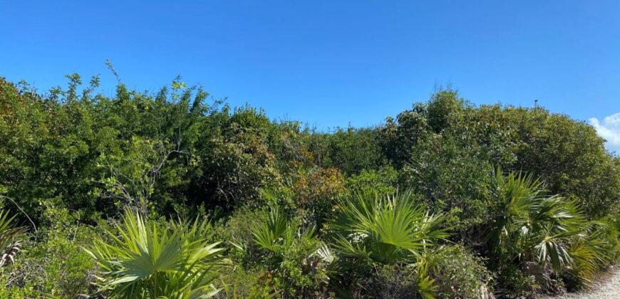 ELEUTHERA ISLAND SHORES