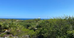 ELEUTHERA ISLAND SHORES