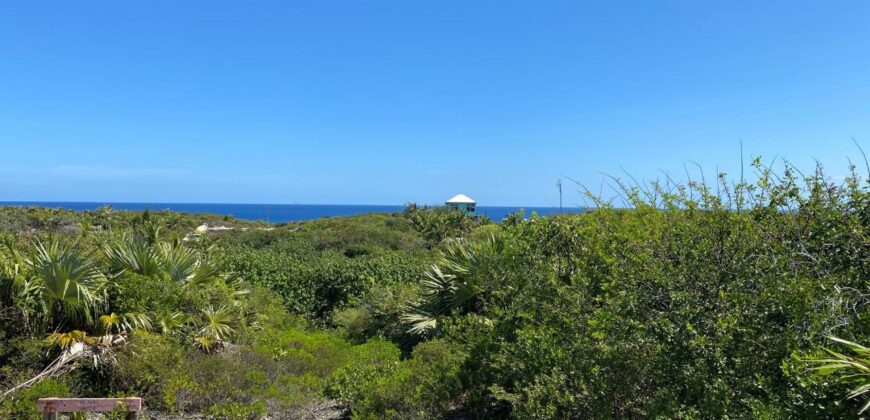 ELEUTHERA ISLAND SHORES