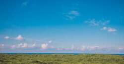 ELEUTHERA ISLAND SHORES