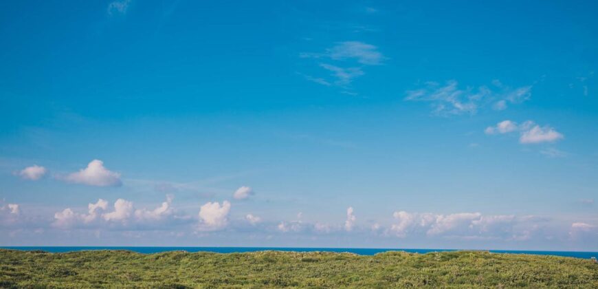 ELEUTHERA ISLAND SHORES