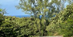 LOT 25 BLK 45 RAINBOW BAY LOT 25 BLK 45 RAINBOW BAY