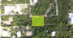 LOT 61 NEW SETTLEMENT